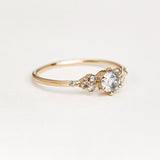 Luminary Diamond Ring - 0,47ct Salt & Pepper Diamonds