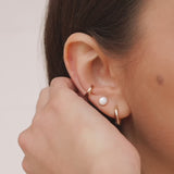 Dôme Hoops Small