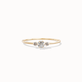 Stella Diamond Ring - 0,14ct Salt & Pepper Diamonds